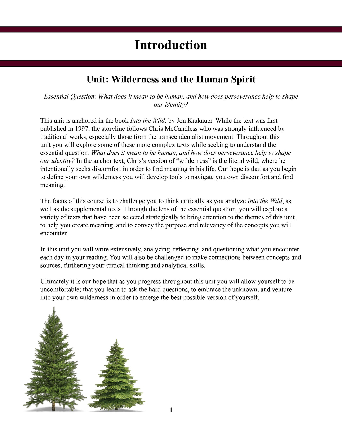 Into the Wild Unit Study - Wilderness and the Human Spirit (High School) 1st Edition CLEARANCE