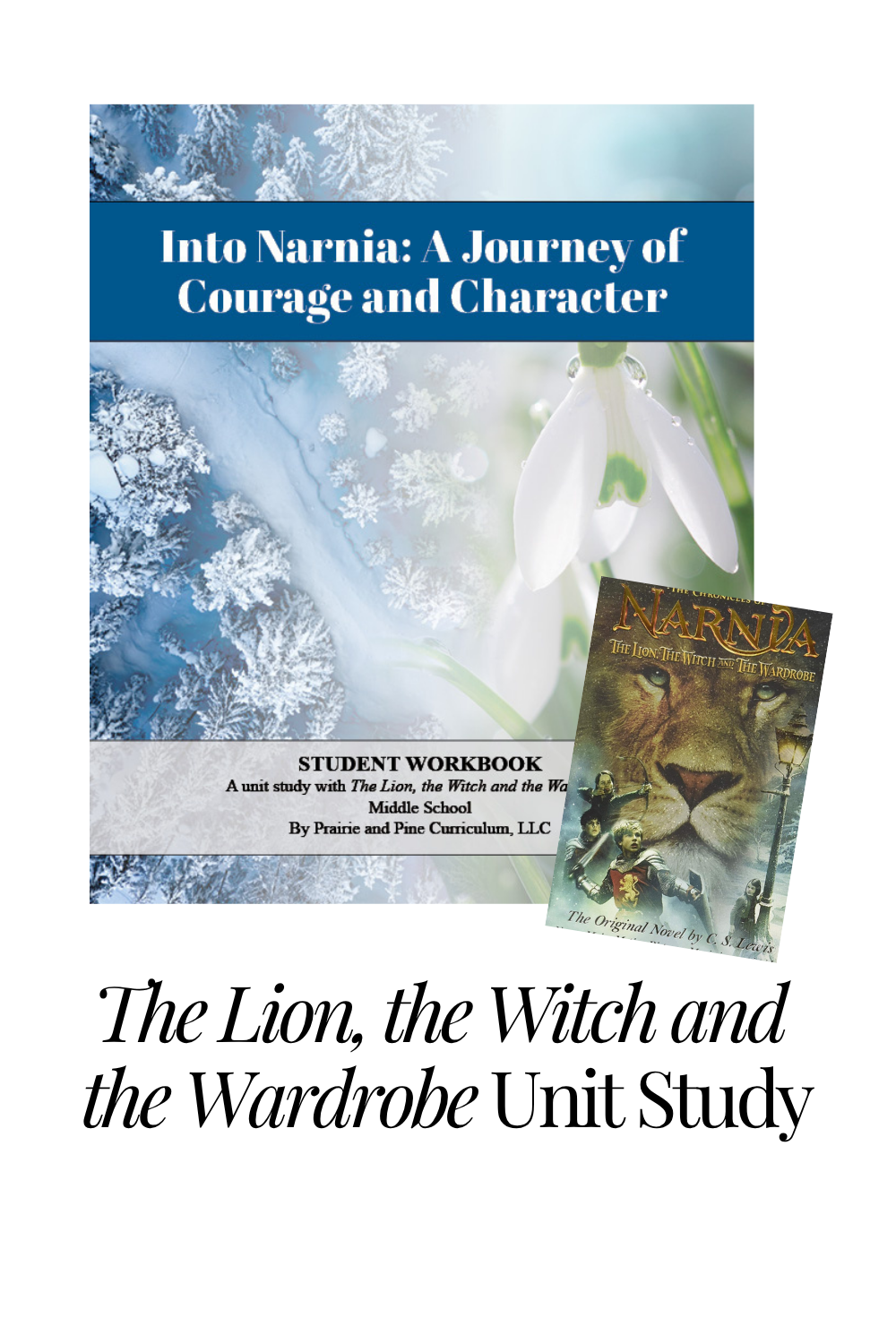 Additional Student Workbooks